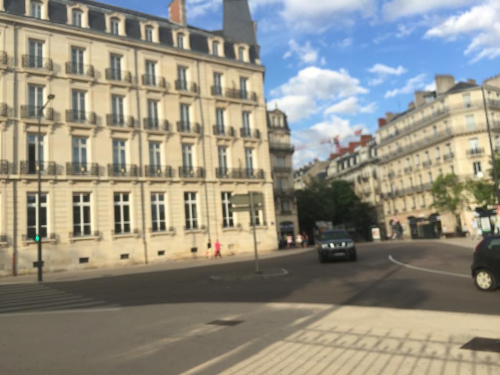 Ideal Art Deco Compris Un Parking Prive Securise Darcy Liberte Centre Gare-Ville Діжон Екстер'єр фото